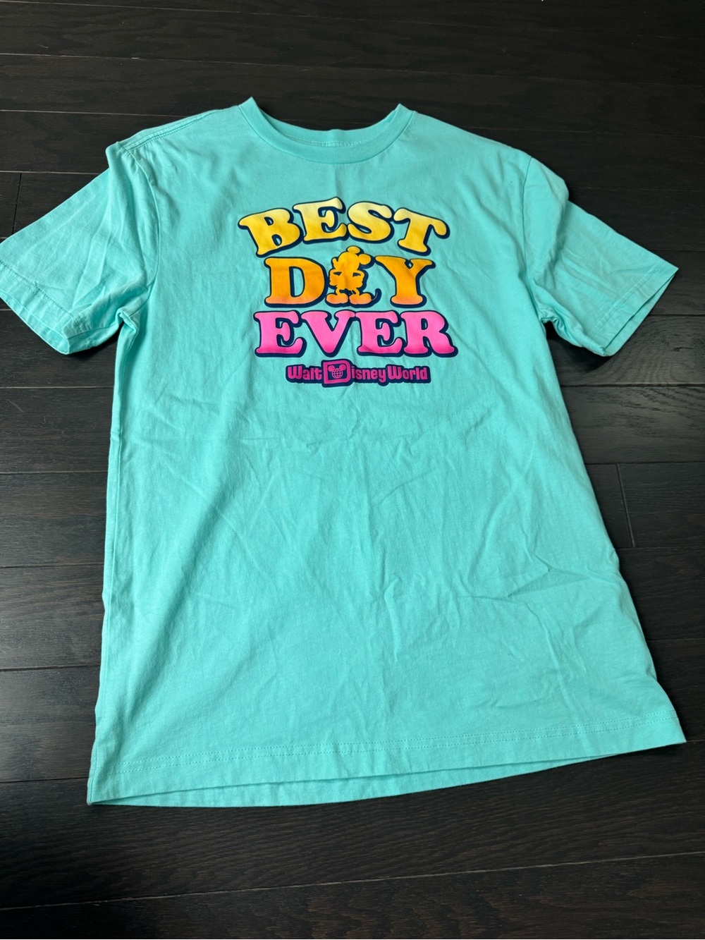 Walt Disney World "Best Day Ever" Turquoise Graphic Tee